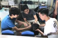 The participants showed their care and love to the rescued dogs.
